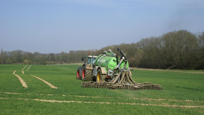 Drijfmest toepassen in het voorjaar op wintertarwe biedt mogelijkheden. Echter is het een weinig toegepaste praktijk ondanks de kostenbesparing op de meststoffenfactuur en de creatie van meer mestafzetruimte.