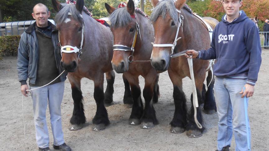 Vader en zoon Rudi en Thomas Callebaut uit Sint-Ulriks-Kapelle met hun lot van drie merries.