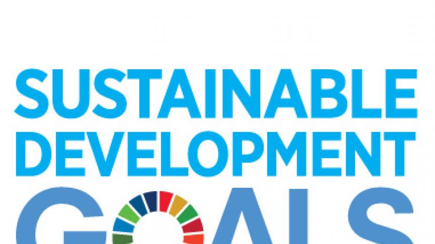 E_SDG_Logo_No-UN Emblem-02