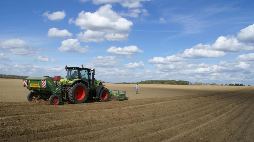 Het areaal aardappelen groeit terug dit jaar.