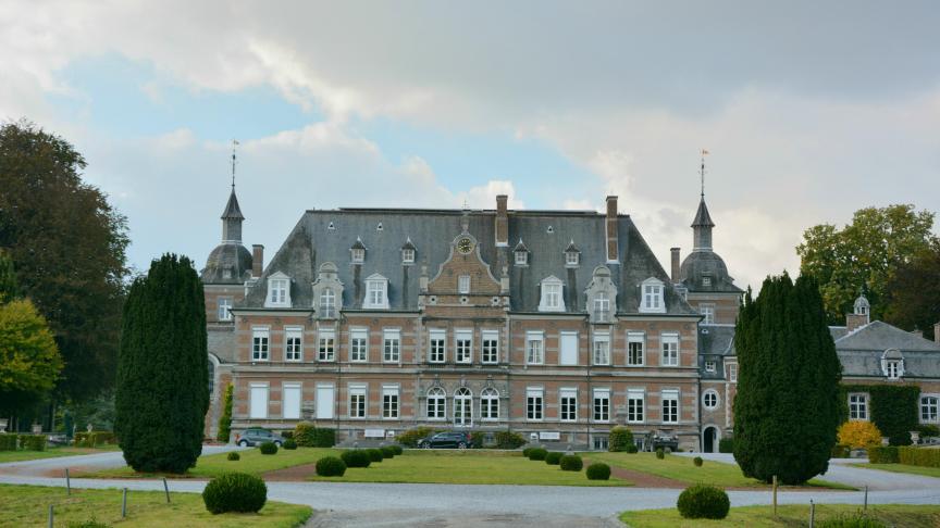 Om zijn zelfstandigheid in energie te verhogen, installeerde Cédric de Bergeyck ook 40 zonnepanelen op het dak van het kasteel.