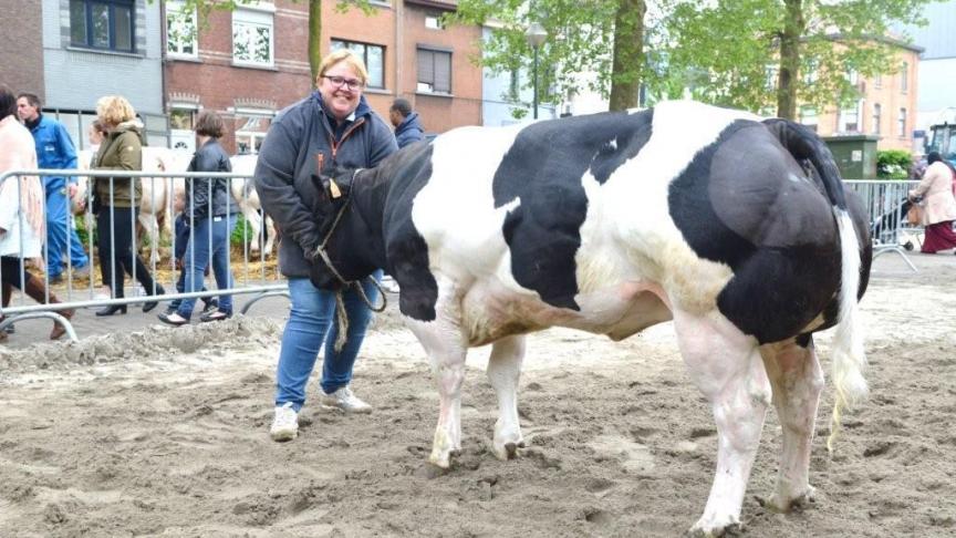 Marie-Jeanne van de Bremberg (v. Imperial), eerste prijs jonge vaarzen reeks B. Eig.: Van Den Eynde K, Merchtem.