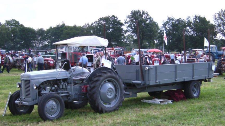 De Grey Fergie TEF is mogelijks het meest gekende model van Massey Ferguson.