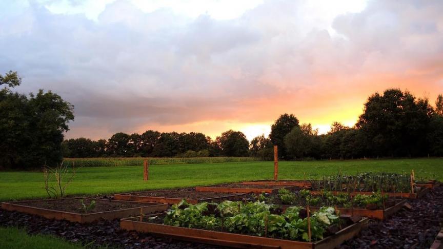 kitchen-garden-697894_960_720