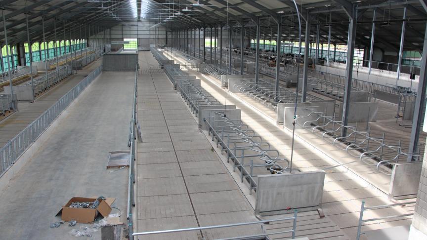 Bijzonder aan deze stal is de brede centrale gang halverwege de stal  die dwars door het midden gaat.