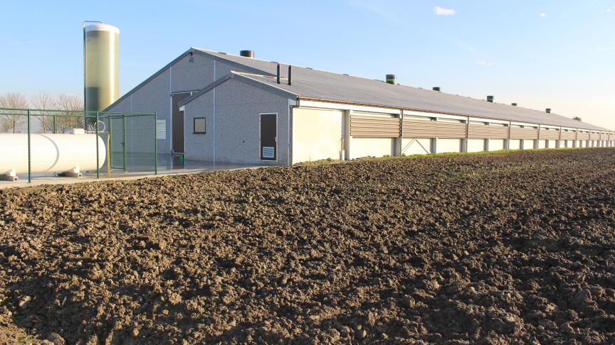 De nieuwe stal heeft een lengte van 98,60 meter en een breedte van 25 meter en biedt plaats aan 49.500 kippen.