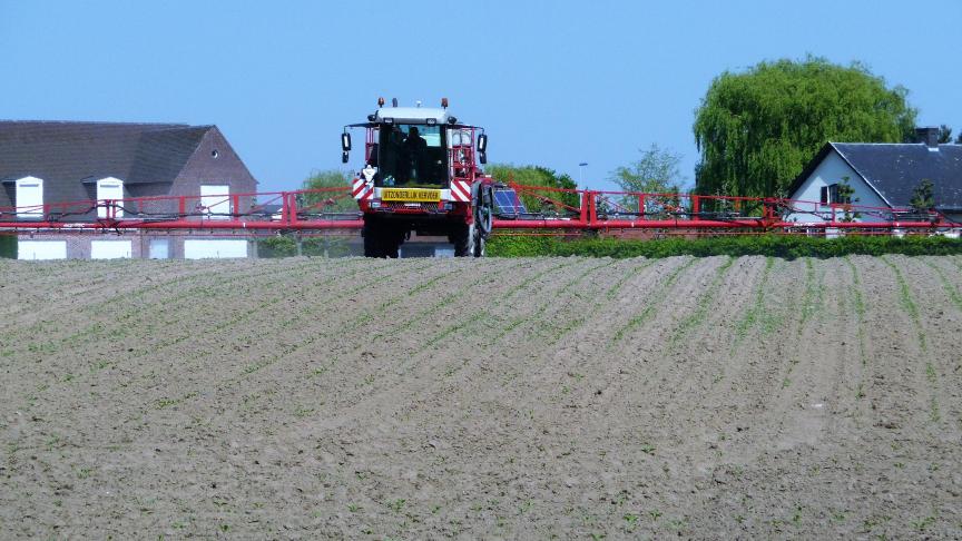 Door het droge voorjaar was en is nog steeds de onkruidbestrijding in vele teelten niet eenvoudig.