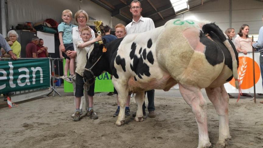 Kimo van het Caloenhof (v. Ultimo), kampioenvaars witblauw. Eig.: De Fauw K. & Van Renterghem S., Tielt.