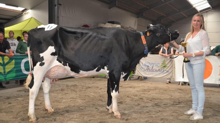 6185 van de Vosseput (v. Bradnick), Koe met beste uier. Eig.: Cocquyt B., Zwevezele.