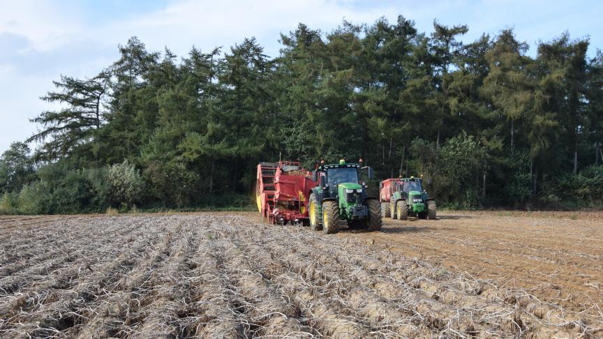 Tijdens de zomer vermoedden we het al, bij de oogst is het bevestigd: er zijn door de droogte duidelijk minder aardappelopbrengsten.