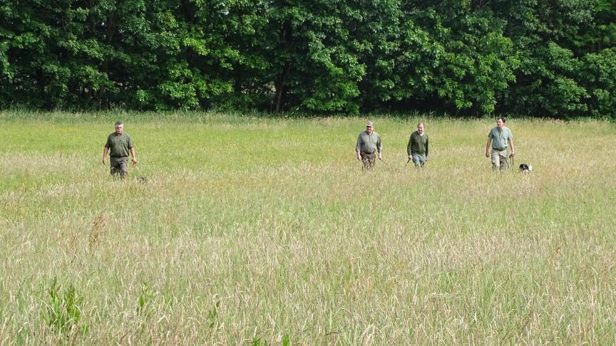 Jagers kunnen met hun honden dieren uit het perceel drijven, nog voor het maaien.