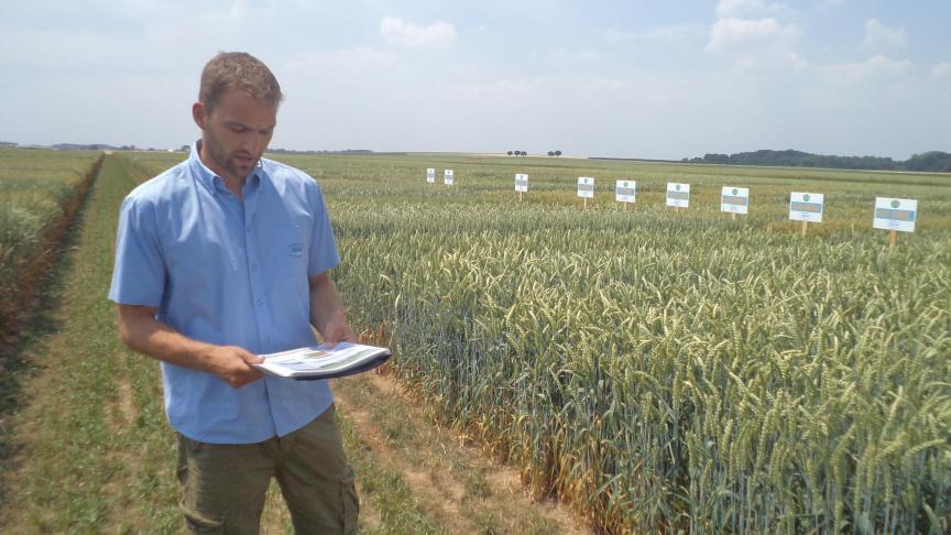 Toon Kerkhofs lichtte de productnieuwigheden in de wintertarwe bij  Aveve toe.