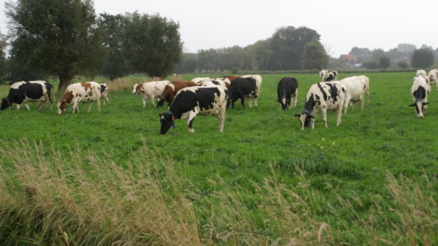 Na een stagnatie van vier maanden op een lager niveau, komt er nu weer een euro bij.