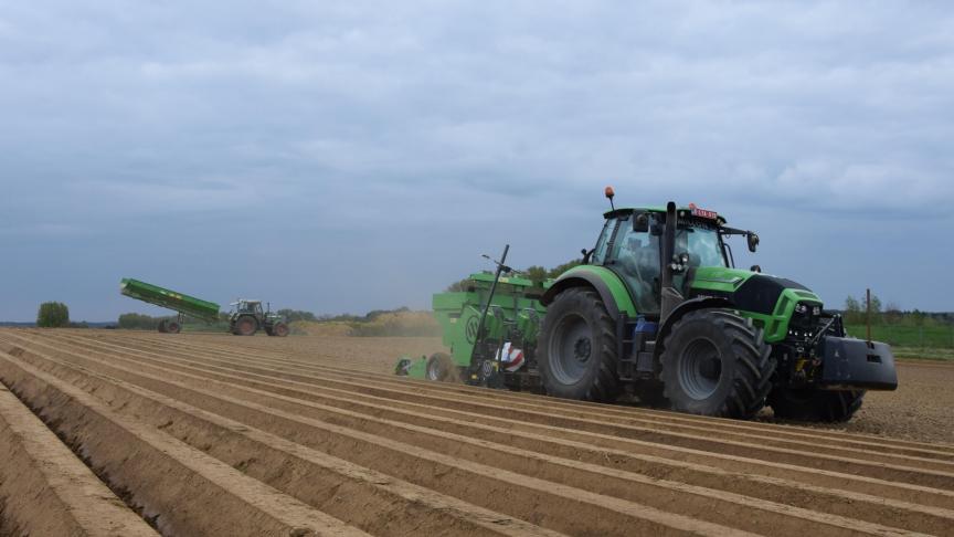 Het aardappelareaal is dit jaar 4,6% groter dan vorig seizoen.