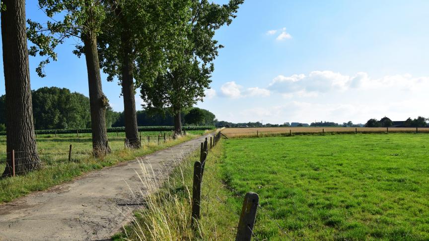 Aan de langstlevende echtgenoot werd op grond van de Wet op de erfregeling inzake landbouwbedrijven geen recht van overname toegekend, maar dit doet geen afbreuk aan het recht op preferentiële toewijzing aan de langstlevende echtgenoot.