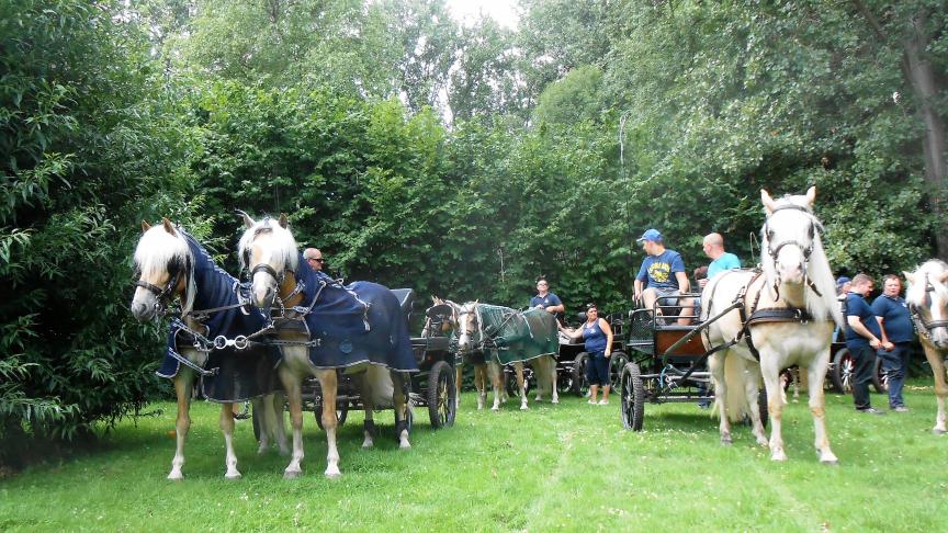 Op de 1e ledendag van de Vlaamse Haflingerclub waren 65 leden aanwezig.