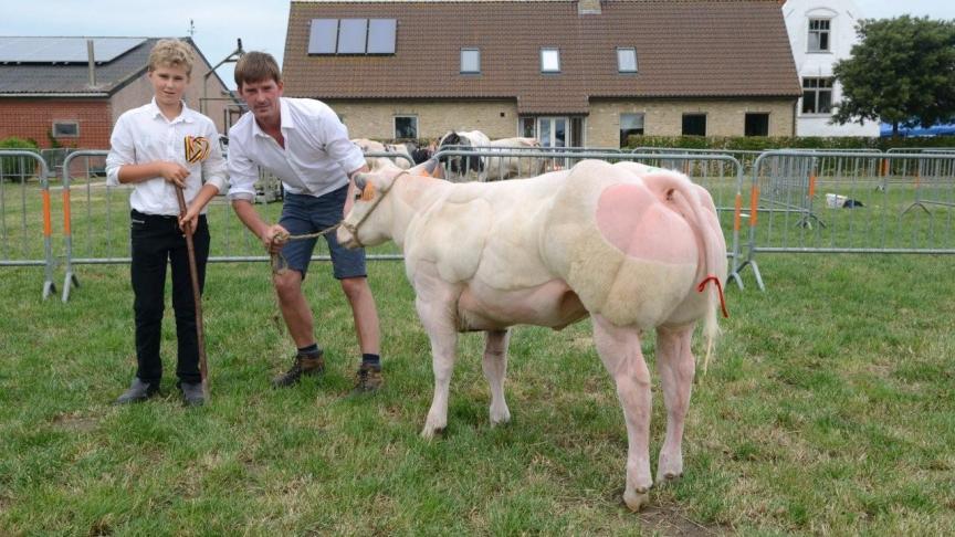 Leontien van ter Bos (Charmeur x Benhur), eerste prijs jonge vaarzen geboren tussen 29 sept. 2016 en 20 nov. 2016. Eig.: Demasure G., Avelgem.