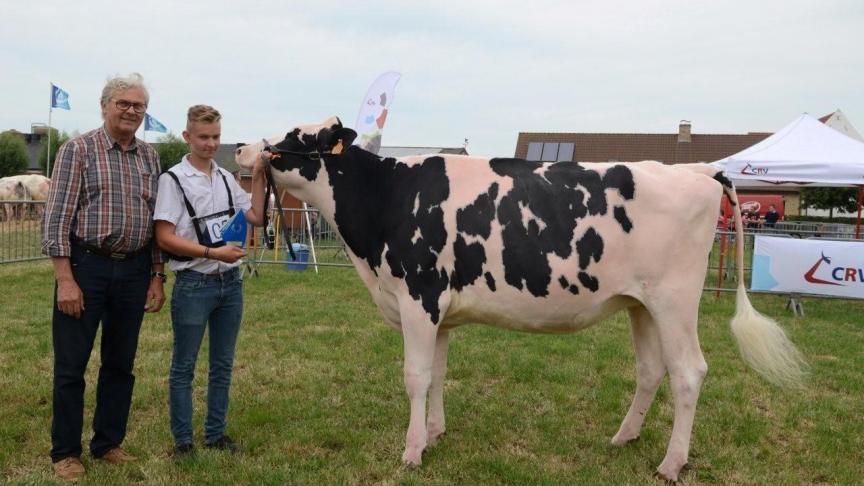 Krezip ten Ruysschaert (Doorman), kampioen ongekalfde vaarzen. Eig.: Mazereel G., Reninge.