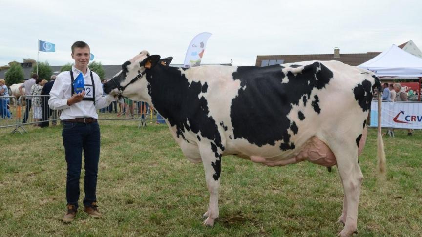 Jasmien (v. Lavanguard), koe met beste uier. Eig.: Verstraete Fr., Hollebeke.