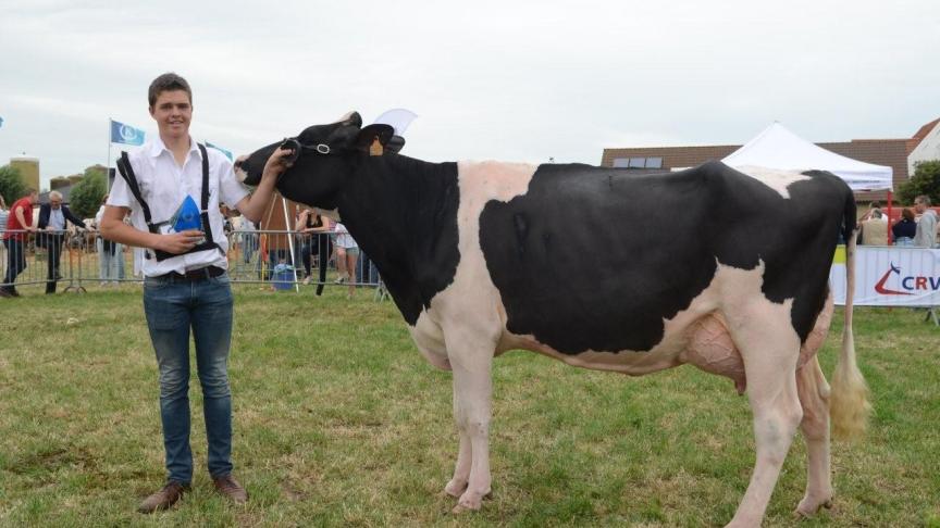 Jaade (v. Shy), kampioen zwartbonte koeien. Eig.: Deconinck G., Ploegsteert.