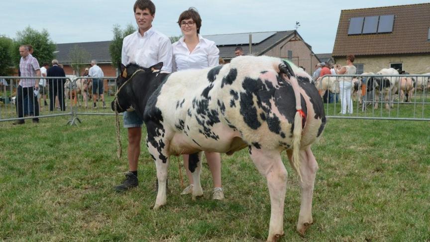 Piri van de Sysloberg (Kilowatt x Germinal), eerste prijs bij de oudere vaarzen geboren tussen 16 juli 2015 en 16 jan. 2016. Eig.: Brouckaert I., Ruddervoorde.