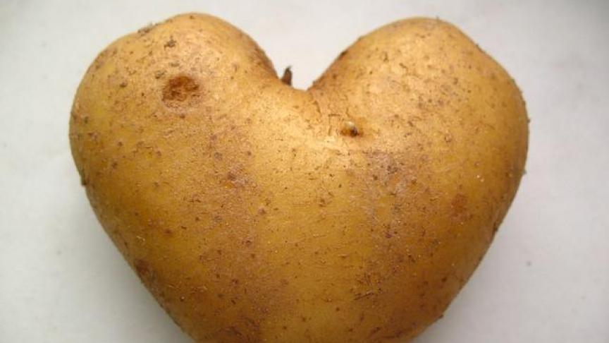 Aardappels3