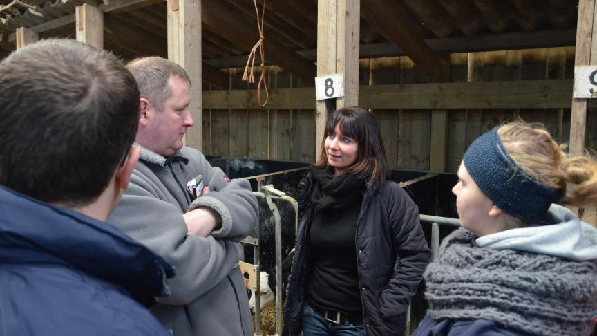 Bij de keuze van de stieren geeft Sophie Merlant de voorkeur aan melkproductie, gehalten en het functioneren.
