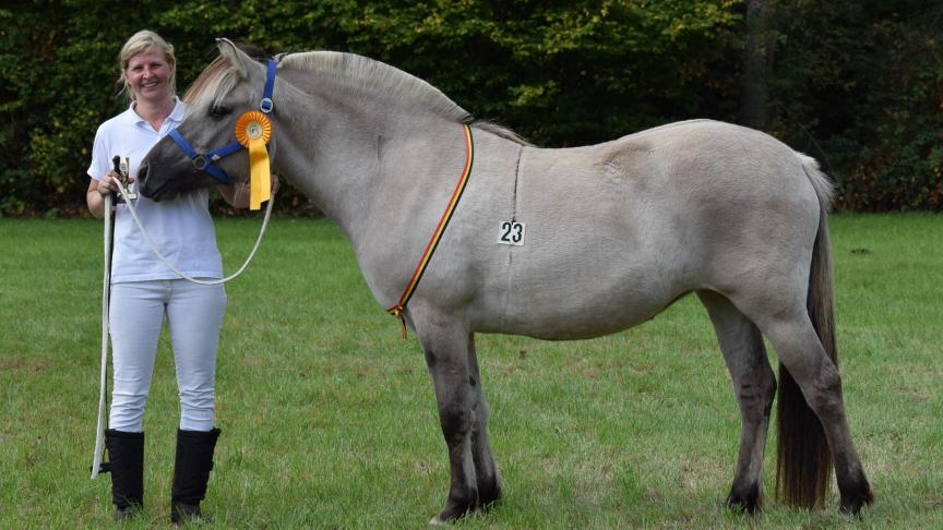 Raika van de Bilterhoeve, jeugdkampioene. Eig.: Patty De Groote uit Lille