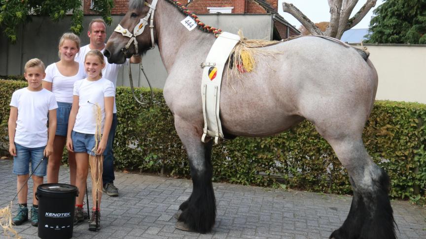 Fay van ‘t Domineeshof, eerste prijs bij de merries geboren in 2014 1e reeks. Eig.: Emma, Dora, Juul Crijnen, Ranst.