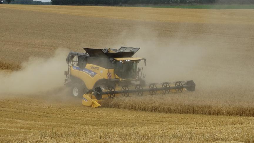 Een wereldrecordpoging gerstoogst per ha lukte niet, maar Syngenta ziet hybride gerstrassen wel hun eigenschap als opbrengsttoppers bevestigen.