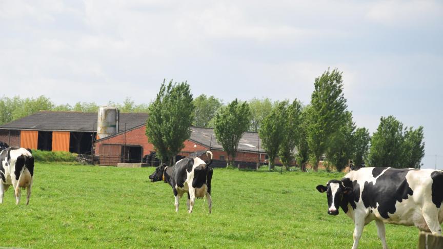 Milcobel verlaagt voor april de melkprijs.