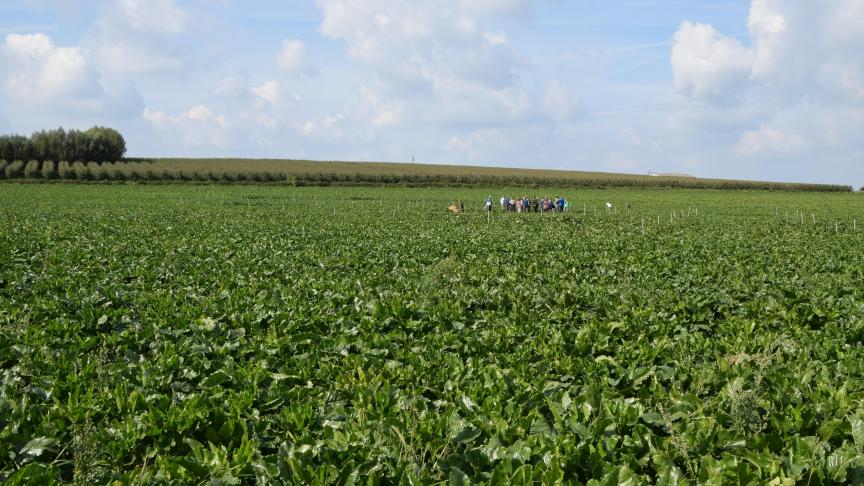 De 20-jarige compostproef werd gevierd met onder andere een proefveldrondgang.