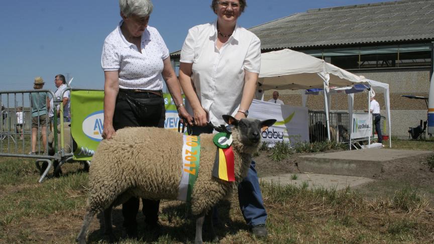 ooilam 3412-0129 Van Middelem M J Damme