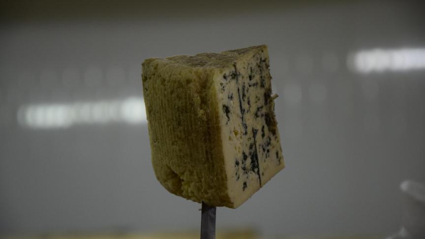 In de Madeta-vestiging in Ceský Krumlov wordt enkel  blauwschimmelkaas bereid.