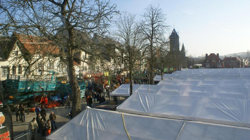 Om en bij de 1.100 runderen worden op Houtem-jaarmarkt te koop aangeboden.
