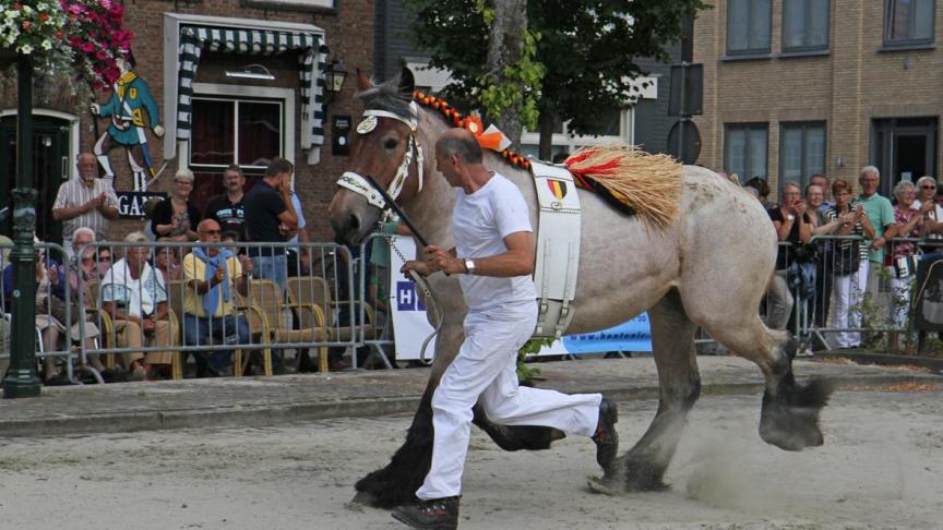 Wie wordt op zondag 10 december in paleis 1 de opvolg(st)er van Patrick Vinck, beste trotteur van 2017.