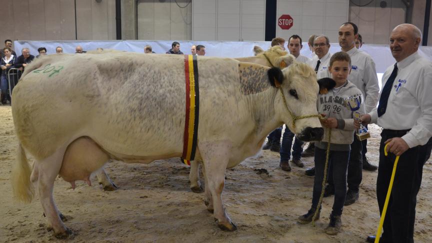 Barbie de Terniaux, championne des vaches mixtes Mh Mh, à Vandromme et Baudson, Vergnies.