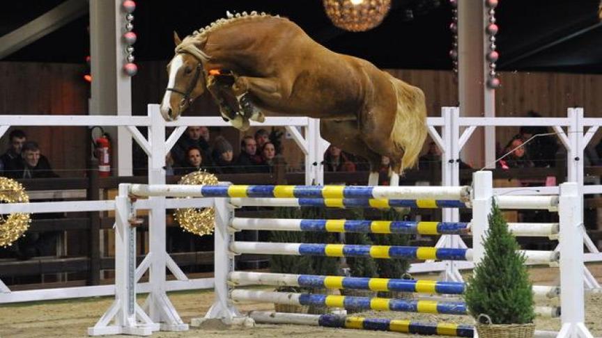 Jones du Châpitre winnaar mannelijke tweejarigen