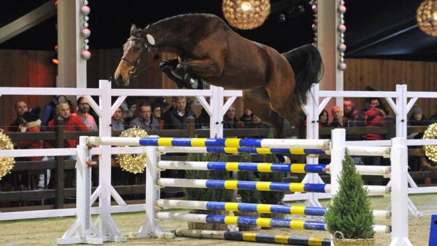 Happy van de Gulden winnares bij de tweejarige merries