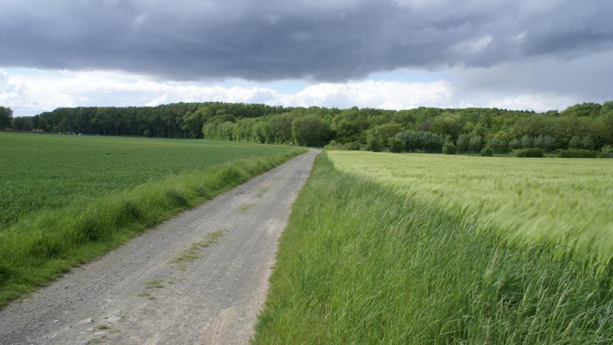 Gove vindt subsidies op basis van hectares niet van deze tijd.