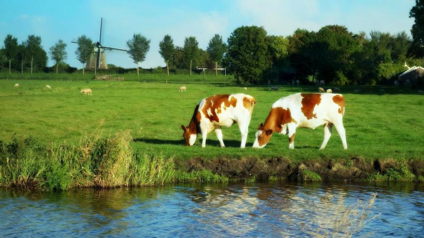 De impact van corona lijkt op de Nederlandse land- en tuinbouwbedrijven wat lager te liggen dan in ons land.