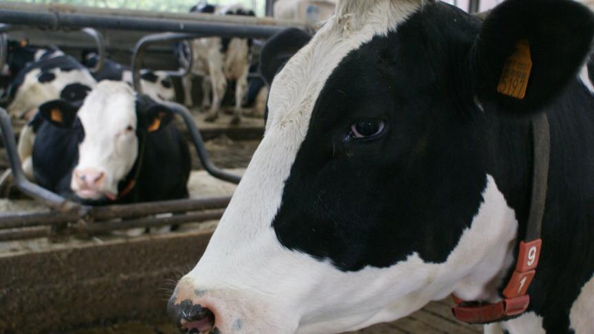 De zuivelprijs is in december gedaald.