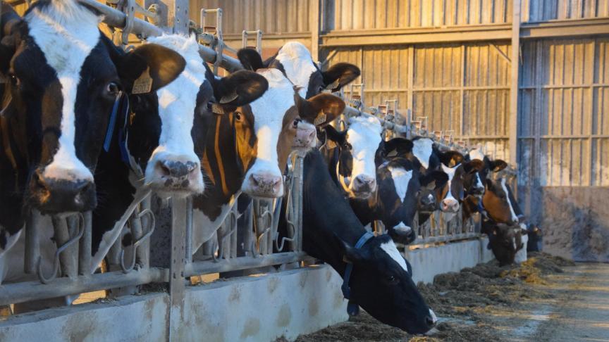 Voor Lactalis maar ook haar leveranciers is de de babymelkpoederkwestie schadelijk.