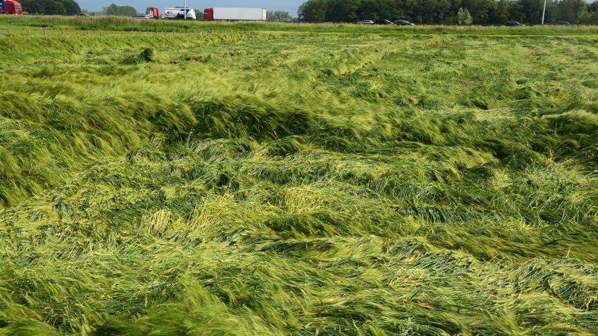 Voor 2016 erkende het KMI vier calamiteiten als ramp.