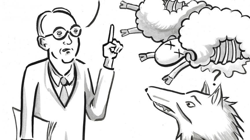 De schapen aanvallen bleek niet Naya’s grootste fout te zijn.