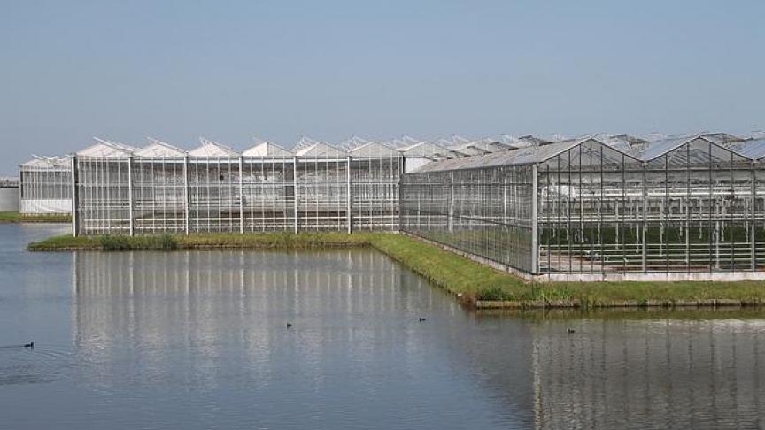 De brochure bespreekt verschillende technieken voor energiebesparing in sierteelt onder glas.