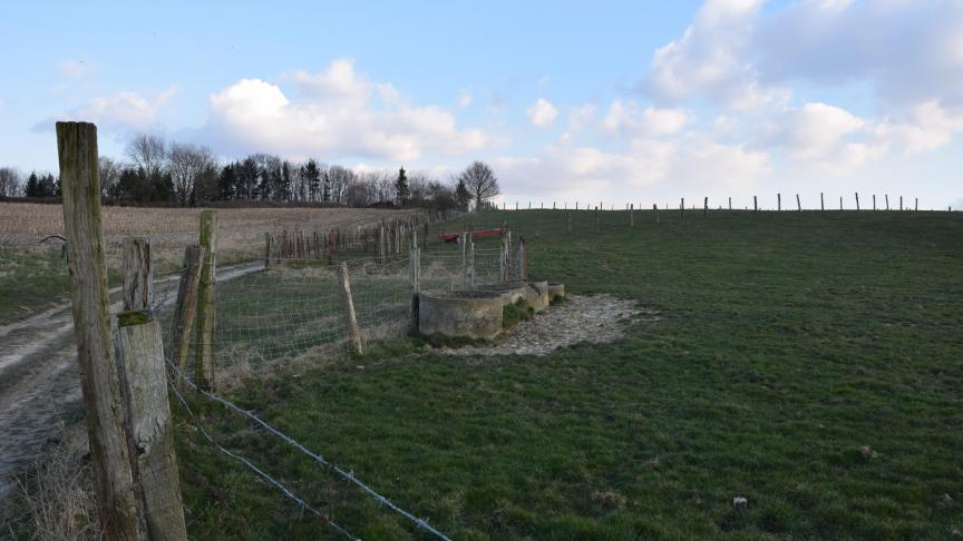 Heb naast de bemesting ook aandacht voor de onkruidbestrijding in gras en weilanden.