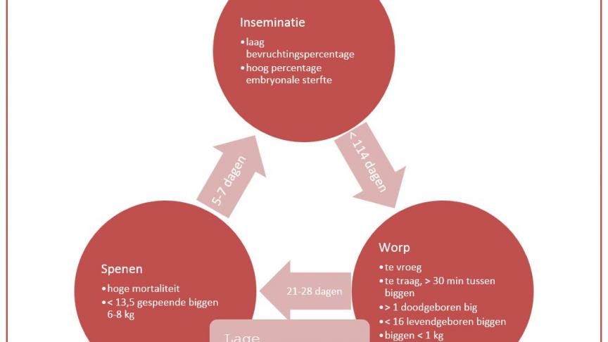 knelpuntenzeugencyclusPS