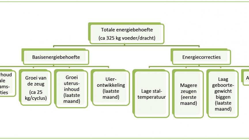 totale energiebehoefte zeugenPS
