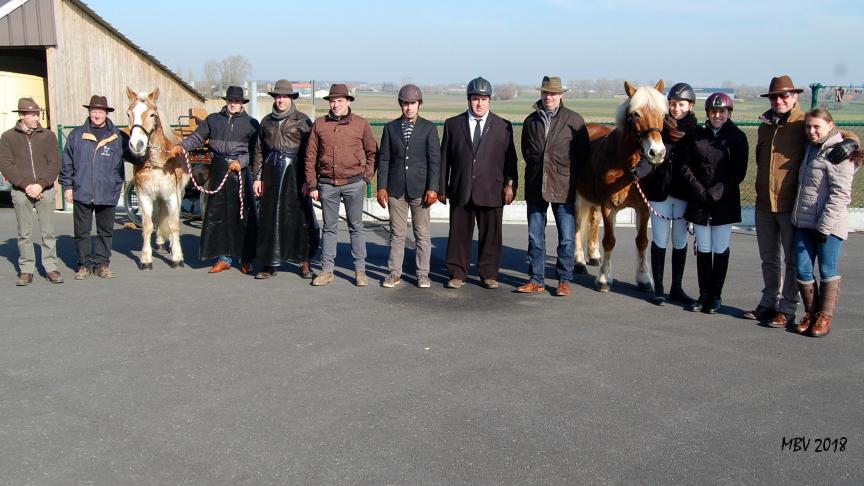 Geslaagden van de mencursus menbrevet ‘A’: (vlnr) Jurgen Talpe (meninstructeur), Nico Baelde (groom), (Haflinger Amadeo), Joeri Vanoverbeke, Gudron Picavet, Bram Balcaen, Tony Caignie, Marc Caeyman, Marnix Riemaeker (groom), (Haflinger Lotte), Annick Caeyman, Jana Provoost, Mario Renaer (examinator) en vriendin.